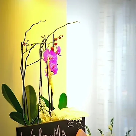 Hotel Luana